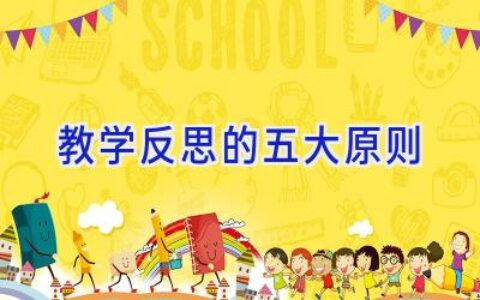 教学反思的五大原则