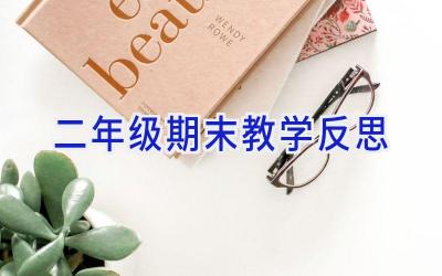 二年级期末教学反思
