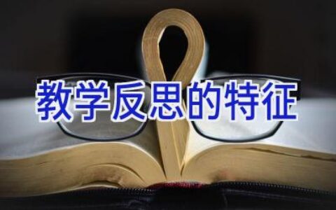 教学反思的特征