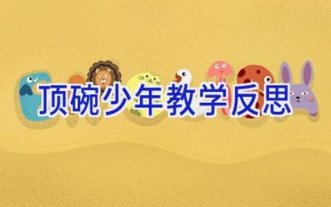 顶碗少年教学反思