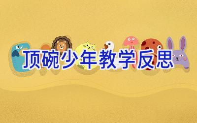 顶碗少年教学反思