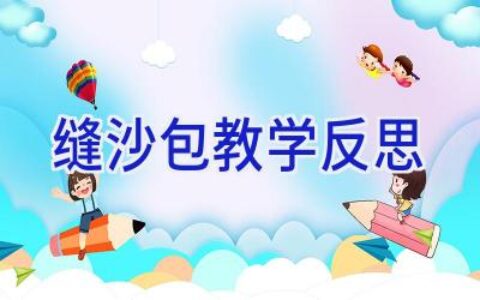 缝沙包教学反思