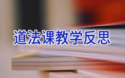 道法课教学反思