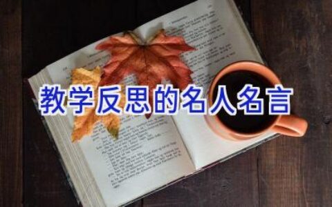教学反思的名人名言