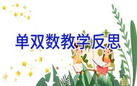 单双数教学反思