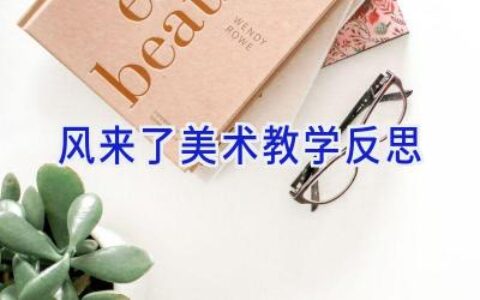 风来了美术教学反思