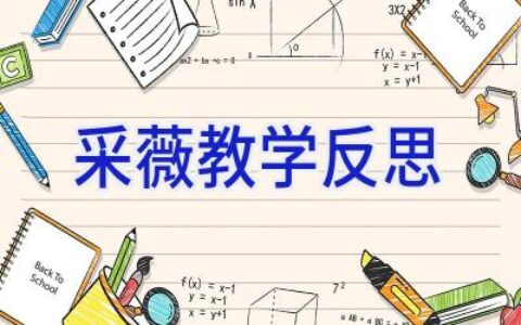 采薇 教学反思