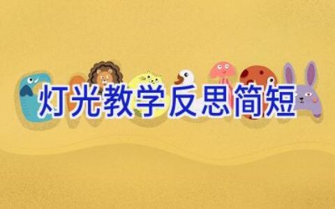 灯光教学反思简短
