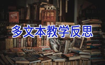 多文本教学反思