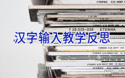汉字输入教学反思