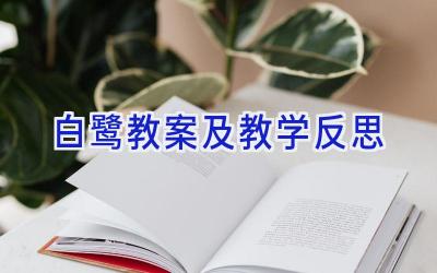 白鹭教案及教学反思