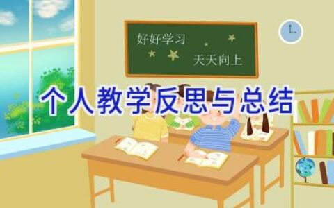 个人教学反思与总结