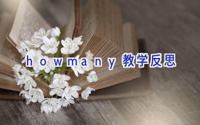 howmany教学反思
