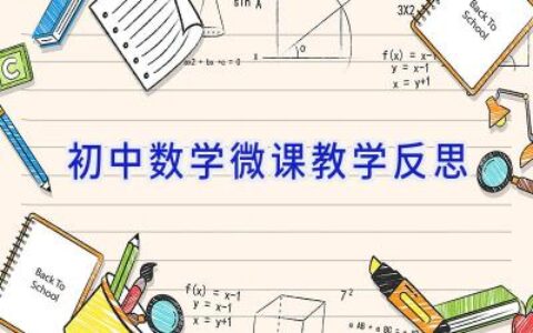 初中数学微课教学反思