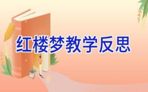 红楼梦教学反思