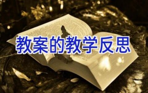 教案的教学反思