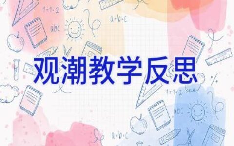 观潮 教学反思