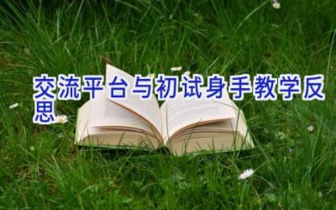 交流平台与初试身手教学反思