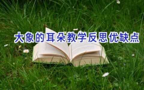 大象的耳朵教学反思优缺点