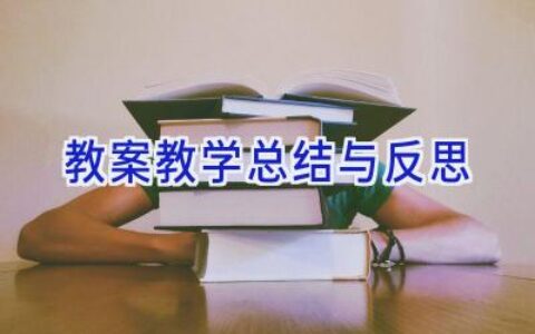 教案教学总结与反思
