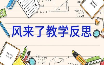 风来了教学反思