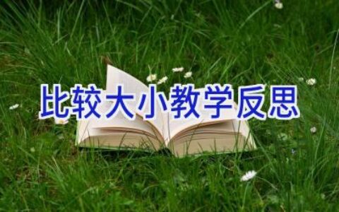 比较大小教学反思