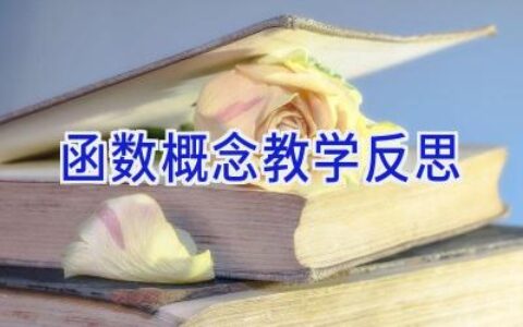 函数概念教学反思