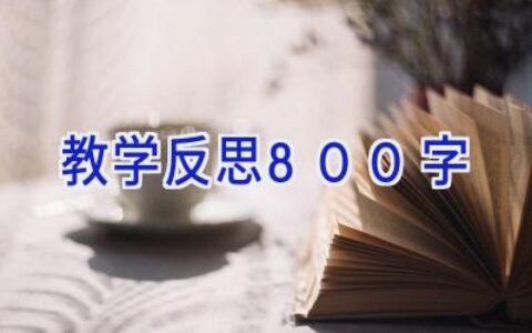 教学反思800字