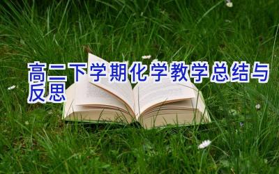 高二下学期化学教学总结与反思