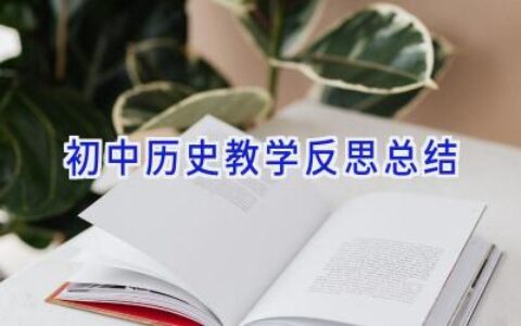初中历史教学反思总结