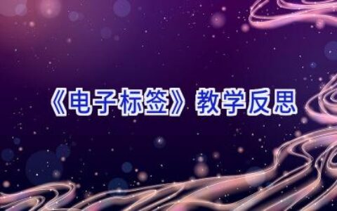 《电子标签》教学反思
