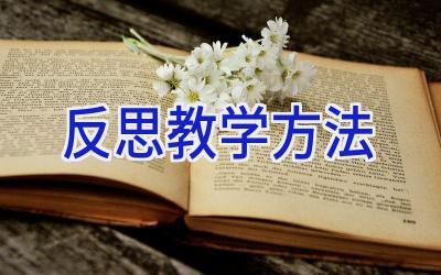 反思教学方法