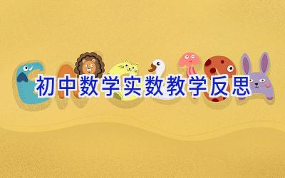 初中数学实数教学反思