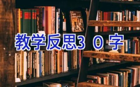 教学反思30字