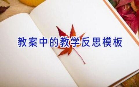 教案中的教学反思模板
