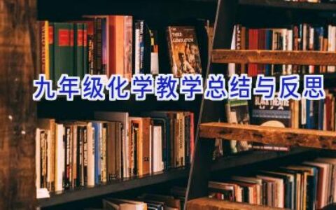 九年级化学教学总结与反思