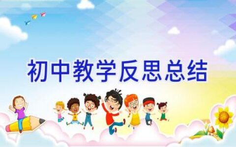 初中教学反思总结