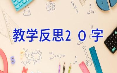 教学反思20字