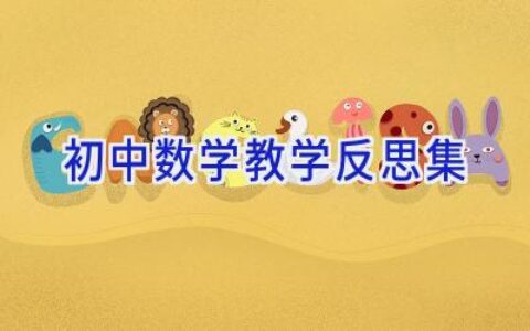 初中数学教学反思集