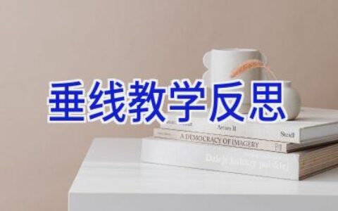 垂线教学反思