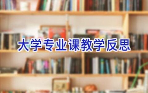 大学专业课教学反思
