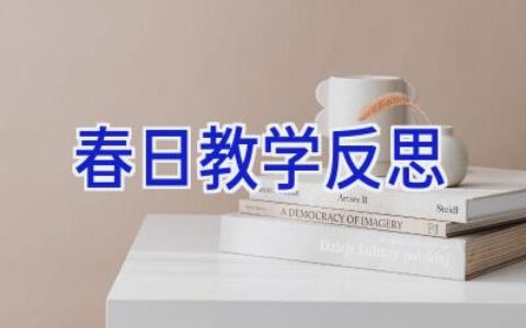 春日教学反思