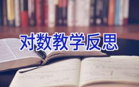 对数教学反思