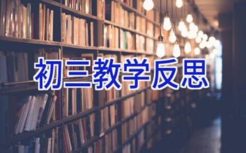 初三教学反思