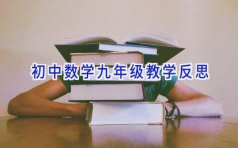 初中数学九年级教学反思