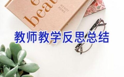 教师教学反思总结
