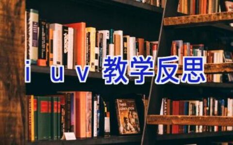 iuv教学反思