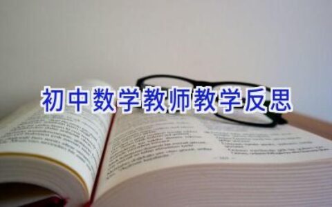 初中数学教师教学反思