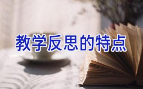 教学反思的特点