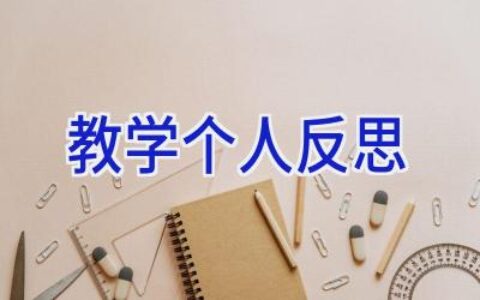 教学个人反思